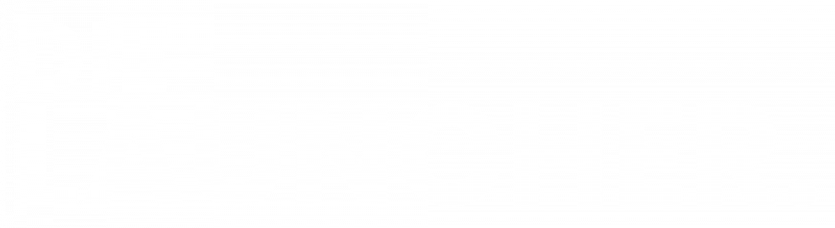 dielauncher logo weiß